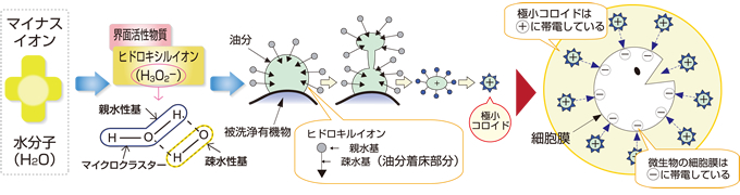 浄化の仕組み